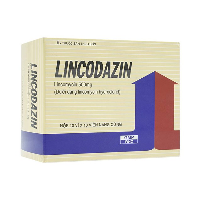 Thuốc Lincodazin 500mg Vidipha điều trị các bệnh nhiễm khuẩn (10 vỉ x 10 viên)
