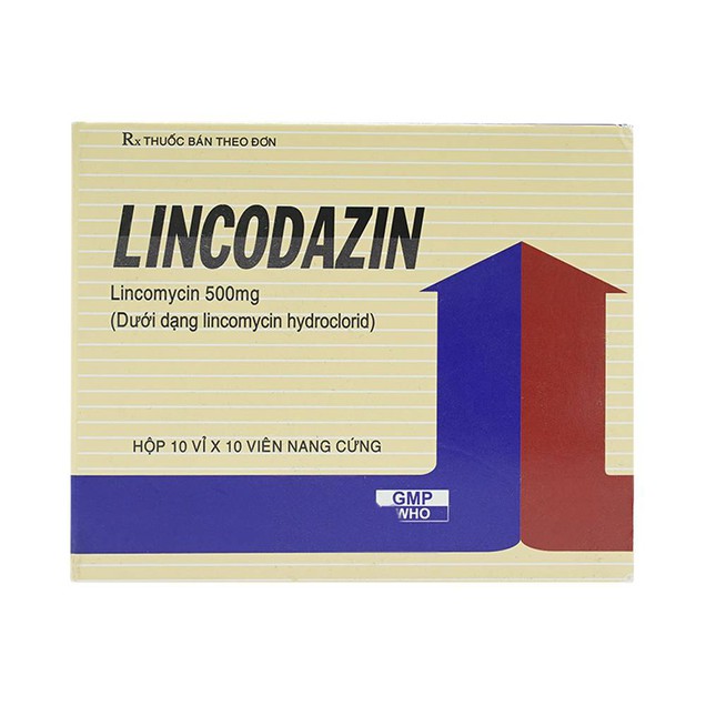 Thuốc Lincodazin 500mg Vidipha điều trị các bệnh nhiễm khuẩn (10 vỉ x 10 viên)