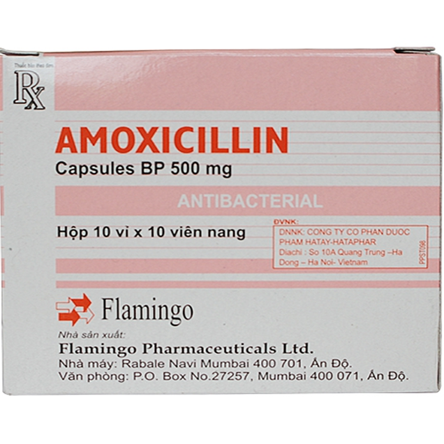Thuốc Amoxicillin 500mg Flamingo hỗ trợ điều trị các bệnh nhiễm khuẩn (10 vỉ x 10 viên)