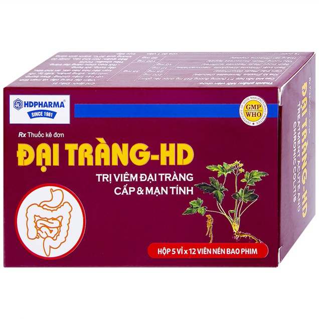 Thuốc Đại Tràng HD điều trị viêm đại tràng cấp và mạn tính (60 viên)