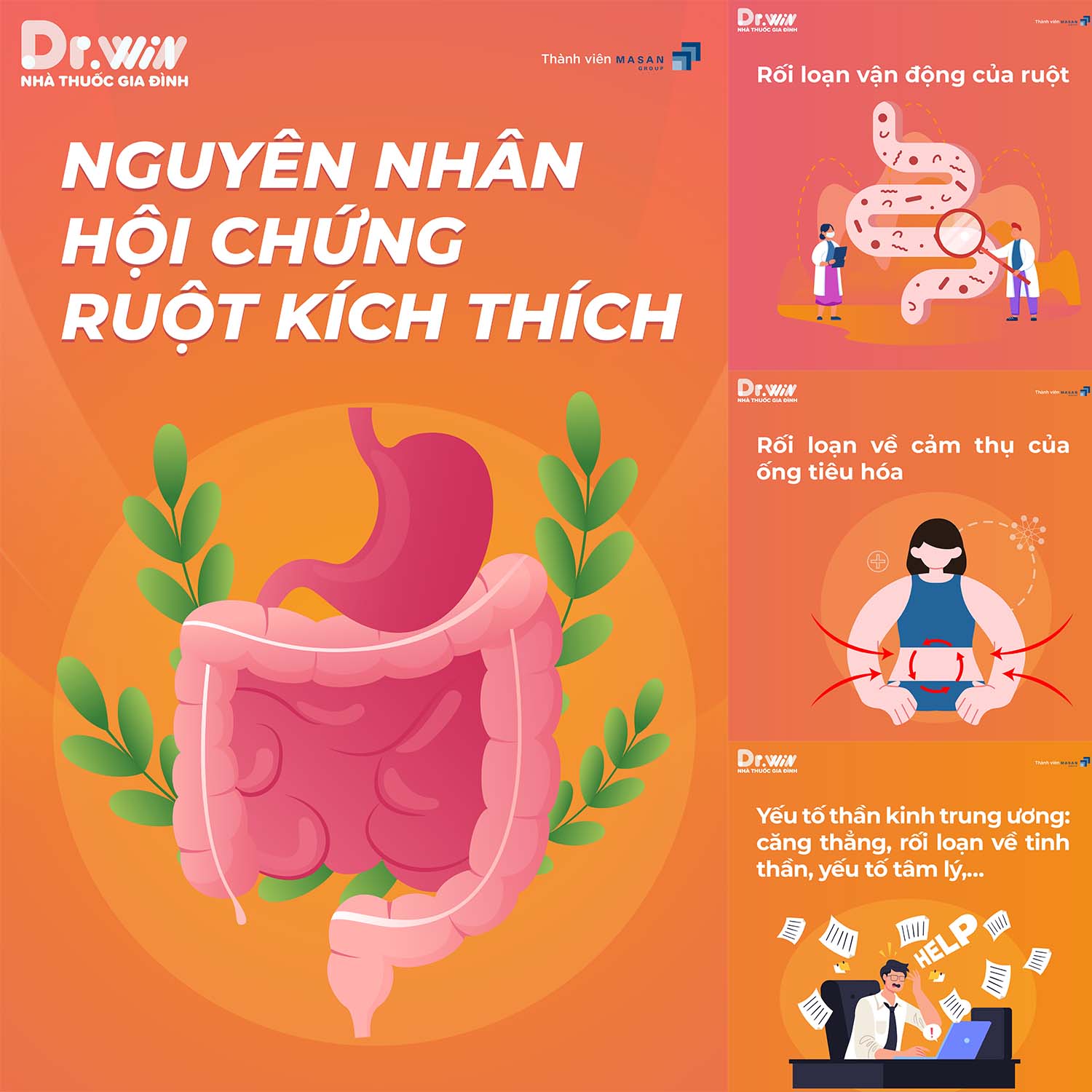 HỘI CHỨNG RUỘT KÍCH THÍCH 3