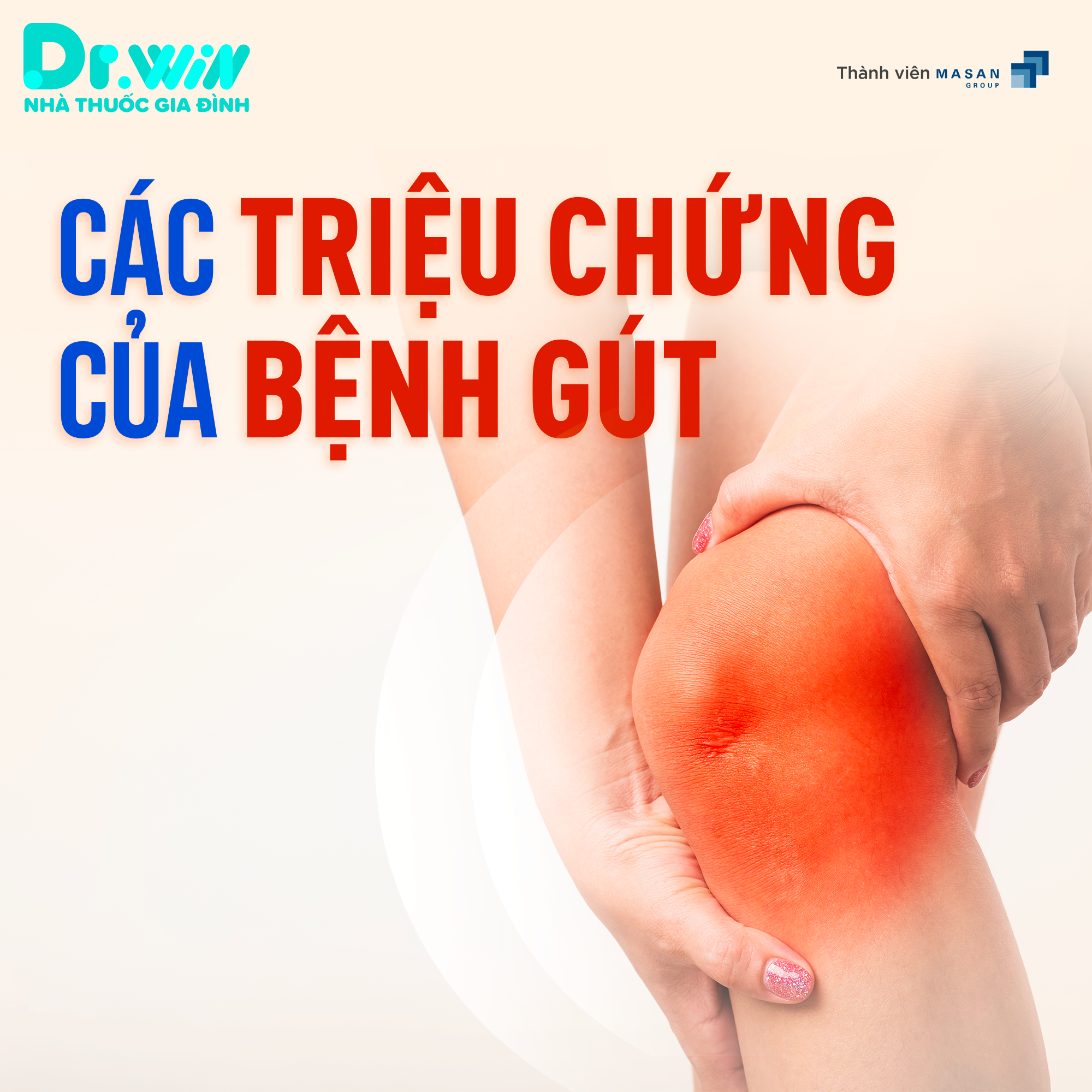 THỐNG PHONG – GÚT 5